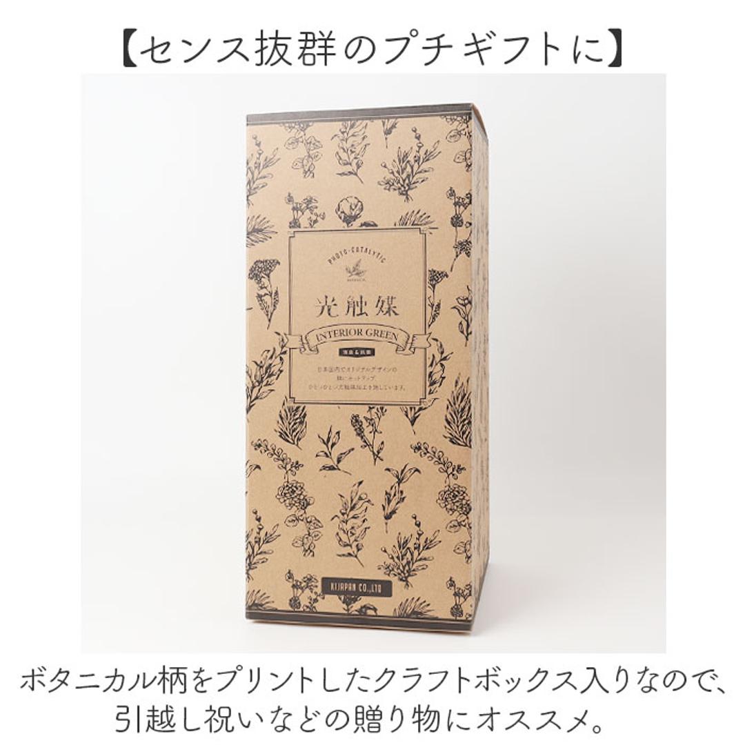 光触媒 人工観葉植物 通販 フェイクグリーン インテリアグリーン イミテーショングリーン インテリアプランツ ポット 陶器 植物 飾る 消臭 抗菌 防カビ おしゃれ 置物 イミテーション 癒し 癒やし リビング 和室 寝室 贈り物 ギフト 新生活 コウモリラン ・