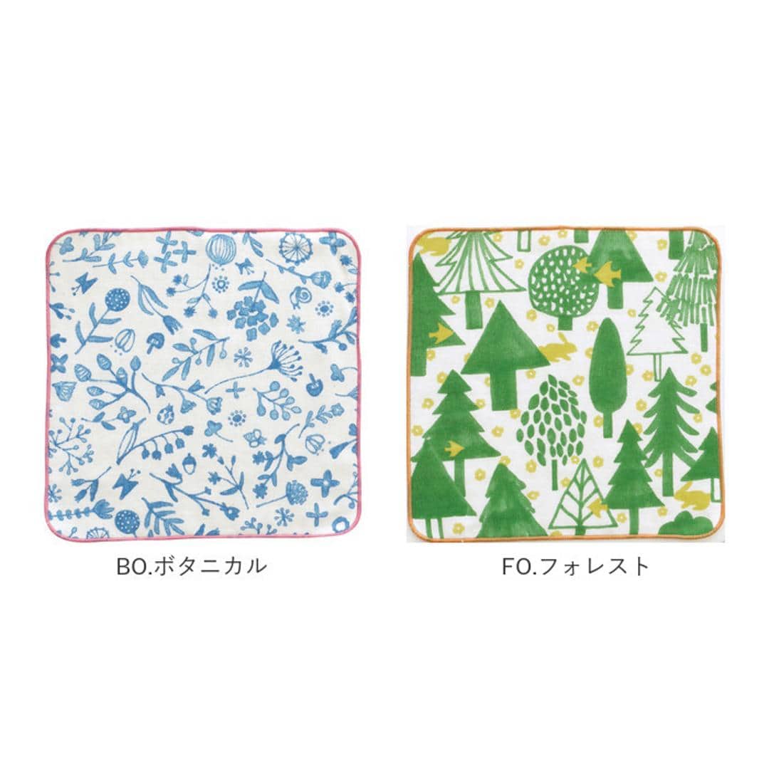 タオルハンカチ キッズ 通販 おしぼりタオル ハンカチ ギフト ブランド ハローベア プチギフト お誕生日 プレゼント コットン 綿 かわいい ミニタオル プチタオル 保育園 女の子 幼稚園 男の子 くま アニマル 子ども おそろい クリスマス会 記念品 まとめ買い BI.バード ・