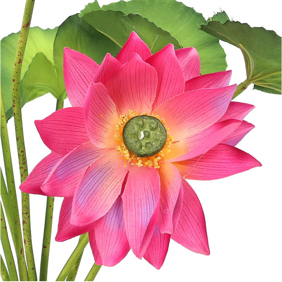 蓮 花 造花 通販 蓮の花 はすの花 アーティフィシャルフラワー アーティフィシャルグリーン アートフラワー フェイクフラワー フェイクグリーン インテリア 観葉植物 ブッシュ 人工観葉植物 FB-2598 ロータスブッシュ ポピー YDM ラベンダー ・