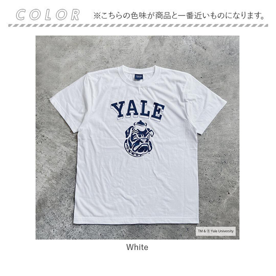 Tシャツ シャツ 半袖 YALE 通販 カットソー tシャツ 半袖Tシャツ 半袖tシャツ カジュアルシャツ クルーネック プリント トップス メンズ レディース 男女兼用 ユニセックス 定番 アウトドア カジュアル かっこいい おしゃれ オシャレ White Mサイズ