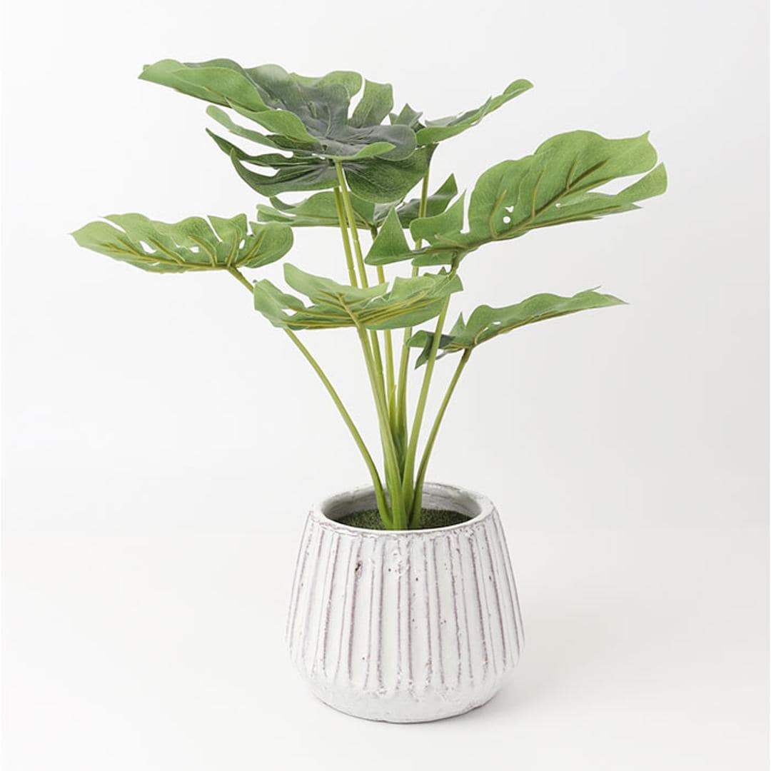 光触媒 人工観葉植物 通販 フェイクグリーン インテリアグリーン イミテーショングリーン インテリアプランツ ポット 陶器 植物 飾る 消臭 抗菌 防カビ おしゃれ 置物 イミテーション 癒し 癒やし リビング 和室 寝室 贈り物 ギフト 新生活 コウモリラン ・