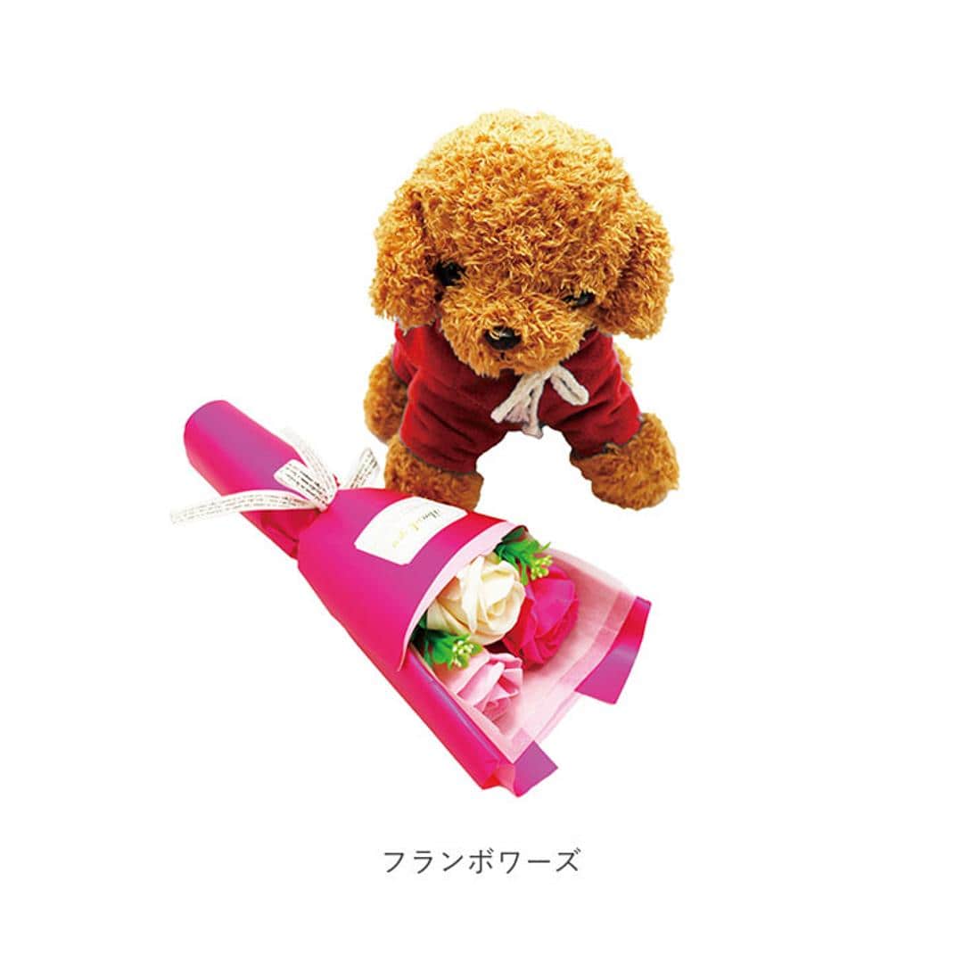 ソープフラワー ぬいぐるみ 花束 通販 犬 ソープフラワーギフト フラワーソープ フラワーソープブーケ シャボンフラワー フレグランスフラワー ブーケ ギフト ボックス AM26TP ソープ フラワー 母の日 ギフト 結婚祝い フェイクフラワー 造花 観葉植物 レッド ・