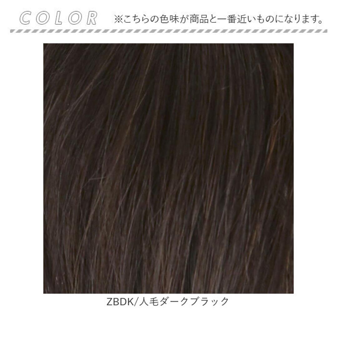 プリシラ 部分 ウィッグ prisila ST-100 通販 かつら 女性 レディース 部分ウィッグ ポイントウイッグ ヘアピース ポイントウィッグ ウイッグ 頭頂部 つむじ 白髪隠し 白髪かくし カツラ 人毛100% 人 毛 100 分け目 増毛部分かつら ZBDK/人毛ダークブラック ・