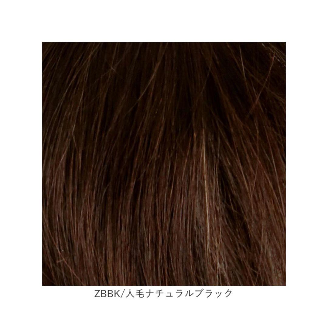 プリシラ 部分 ウィッグ prisila ST-100 通販 かつら 女性 レディース 部分ウィッグ ポイントウイッグ ヘアピース ポイントウィッグ ウイッグ 頭頂部 つむじ 白髪隠し 白髪かくし カツラ 人毛100% 人 毛 100 分け目 増毛部分かつら ZBDK/人毛ダークブラック ・