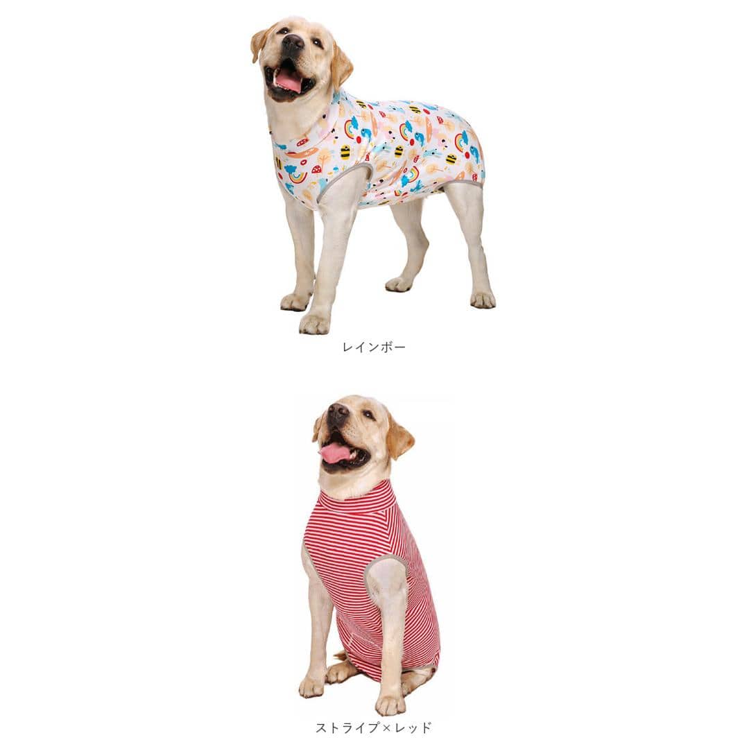 術後服 犬 通販 大型犬 術後ウェア 前後足 イヌ術後服 袖なし 傷口保護 傷舐め防止 避妊 去勢 けが ドッグウェア 術後着 通気性 術後カバー服 介護服 男女用 犬の服 かわいい 可愛い おしゃれ オシャレ シンプル パジャマ ペット用品 ダイナソー 【即日発送】26
