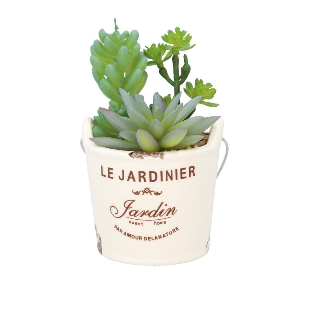 光触媒 観葉植物 卓上 通販 バケツ フェイクグリーン ミニ おしゃれ 造花 ギフト プチギフト 贈り物 かわいい 消臭 抗菌 抗カビ 母の日 置物 インテリア バケツC ・