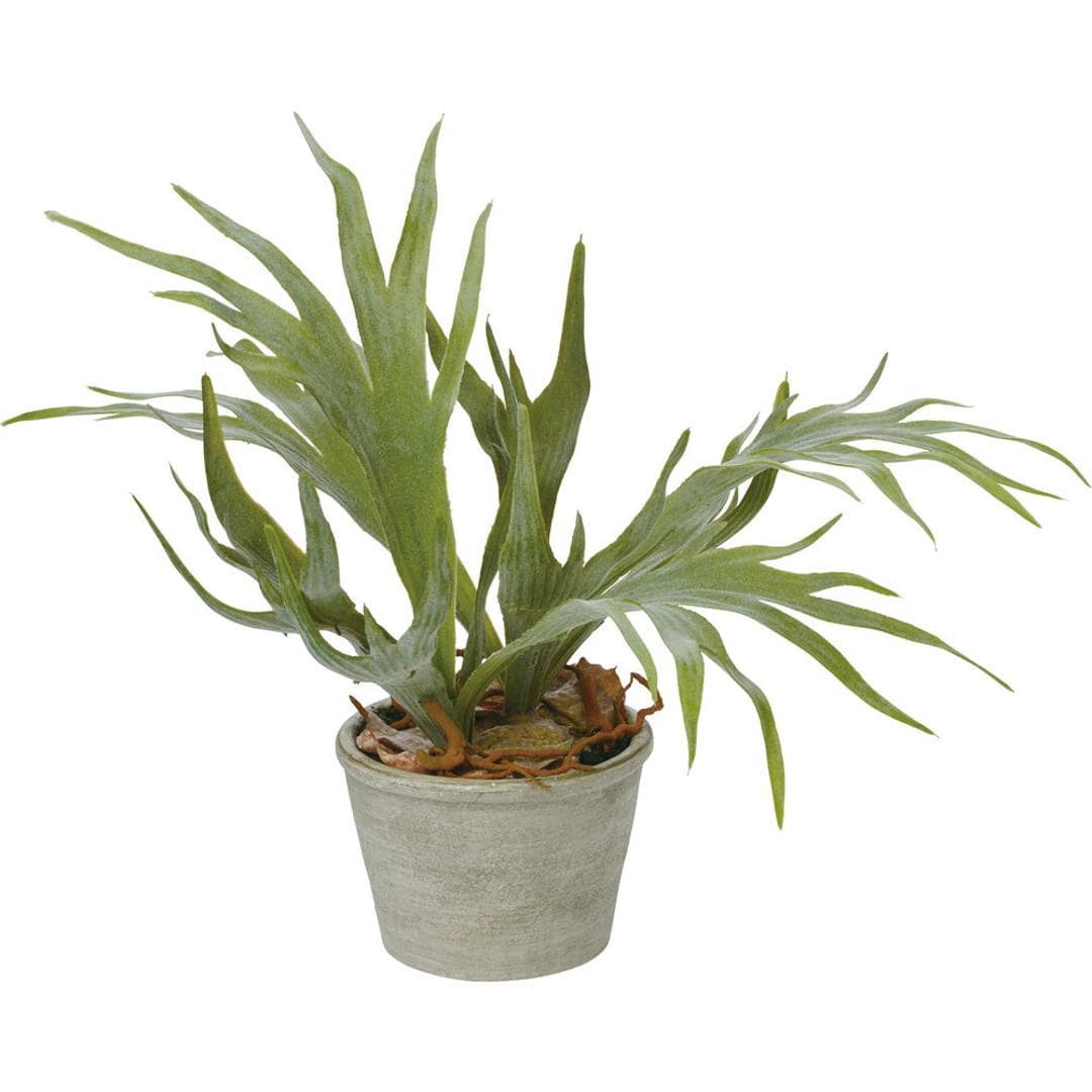 観葉植物 フェイク 大型 通販 フェイクグリーン スタッグホーン アーティフィシャルグリーン コウモリラン インテリアグリーン 人工観葉植物 大きめ 鉢植え ポット リビング ディスプレイ おしゃれ GLA-1364 スタッキングホーンポット ポピー YDM グリーン ・