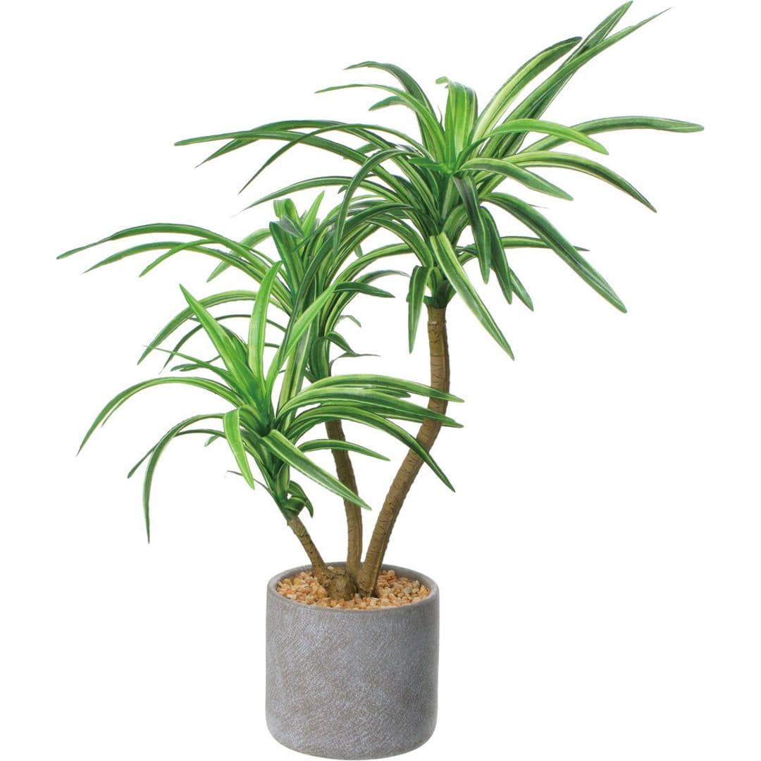 観葉植物 フェイク 大型 通販 フェイクグリーン アーティフィシャルグリーン インテリアグリーン 人工観葉植物 大きめ 鉢植え ポット 玄関 リビング オフィス 店舗 おしゃれ 新生活 引っ越し ギフト セメントポット ポピー YDM ユッカ ・