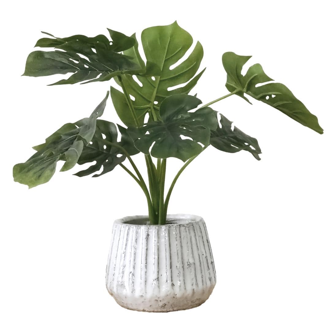 光触媒 人工観葉植物 通販 フェイクグリーン インテリアグリーン イミテーショングリーン インテリアプランツ ポット 陶器 植物 飾る 消臭 抗菌 防カビ おしゃれ 置物 イミテーション 癒し 癒やし リビング 和室 寝室 贈り物 ギフト 新生活 モンステラ ・