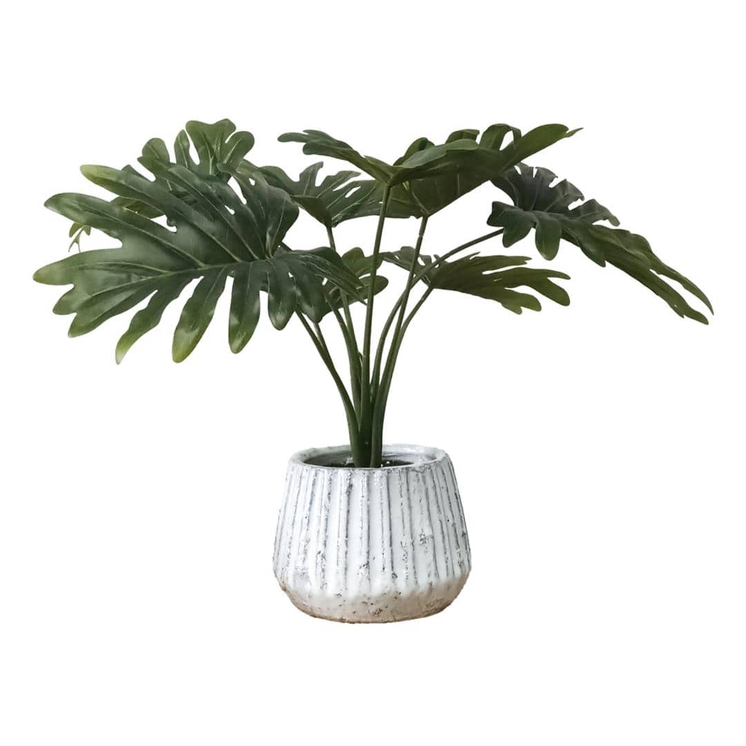 光触媒 人工観葉植物 通販 フェイクグリーン インテリアグリーン イミテーショングリーン インテリアプランツ ポット 陶器 植物 飾る 消臭 抗菌 防カビ おしゃれ 置物 イミテーション 癒し 癒やし リビング 和室 寝室 贈り物 ギフト 新生活 フィロデンドロン ・