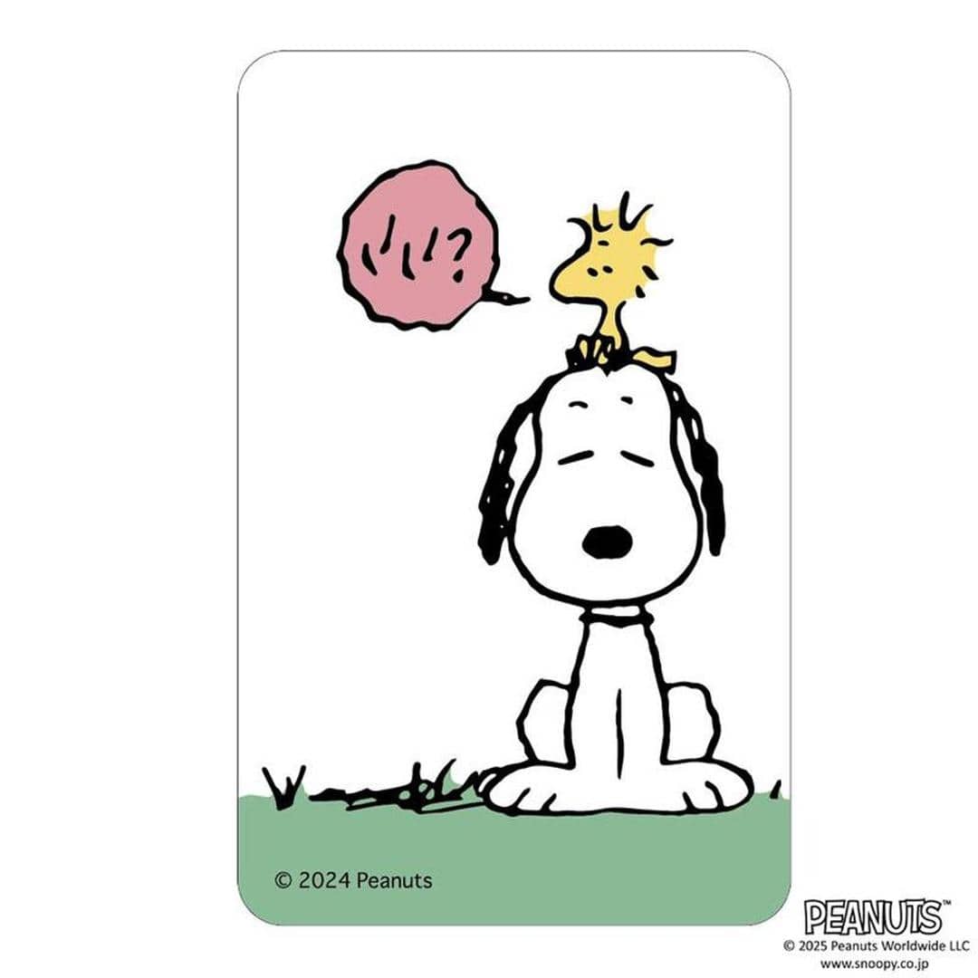 PEANUTS グッズ 通販 スヌーピー クリアカード まじかる百貨店クリアカード 4947864066284 PEANUTS02 SNOOPY スマホ裏 スマートフォン 透明 カード おしゃれ かわいい オシャレ 可愛い キャラクター レンチキュラー ホビー PEANUTS2 ・