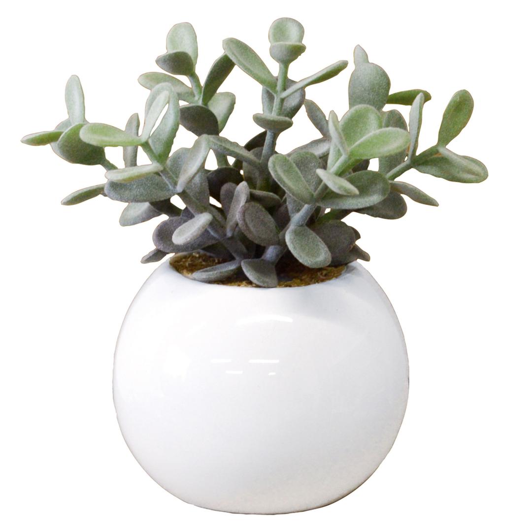 光触媒 フェイクグリーン 通販 観葉植物 フェイク ラウンドポットL CT触媒 卓上 小さい 消臭 抗菌 防汚 空気清浄 イミテーショングリーン リビング 玄関 おしゃれ かわいい 新生活 インテリア 雑貨 コチレドン ・