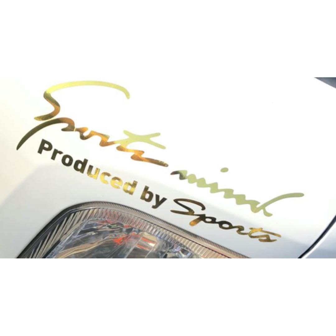 車 ステッカー おしゃれ 通販 Lサイズ 約10×30cm 車に貼るステッカー カッティングシート 外装 カーアクセサリー アクセサリー クルマ サイド ボンネット リア シール デカール 車アクセサリー バイク Sport mind スポーツマインド 光沢ゴールド ・