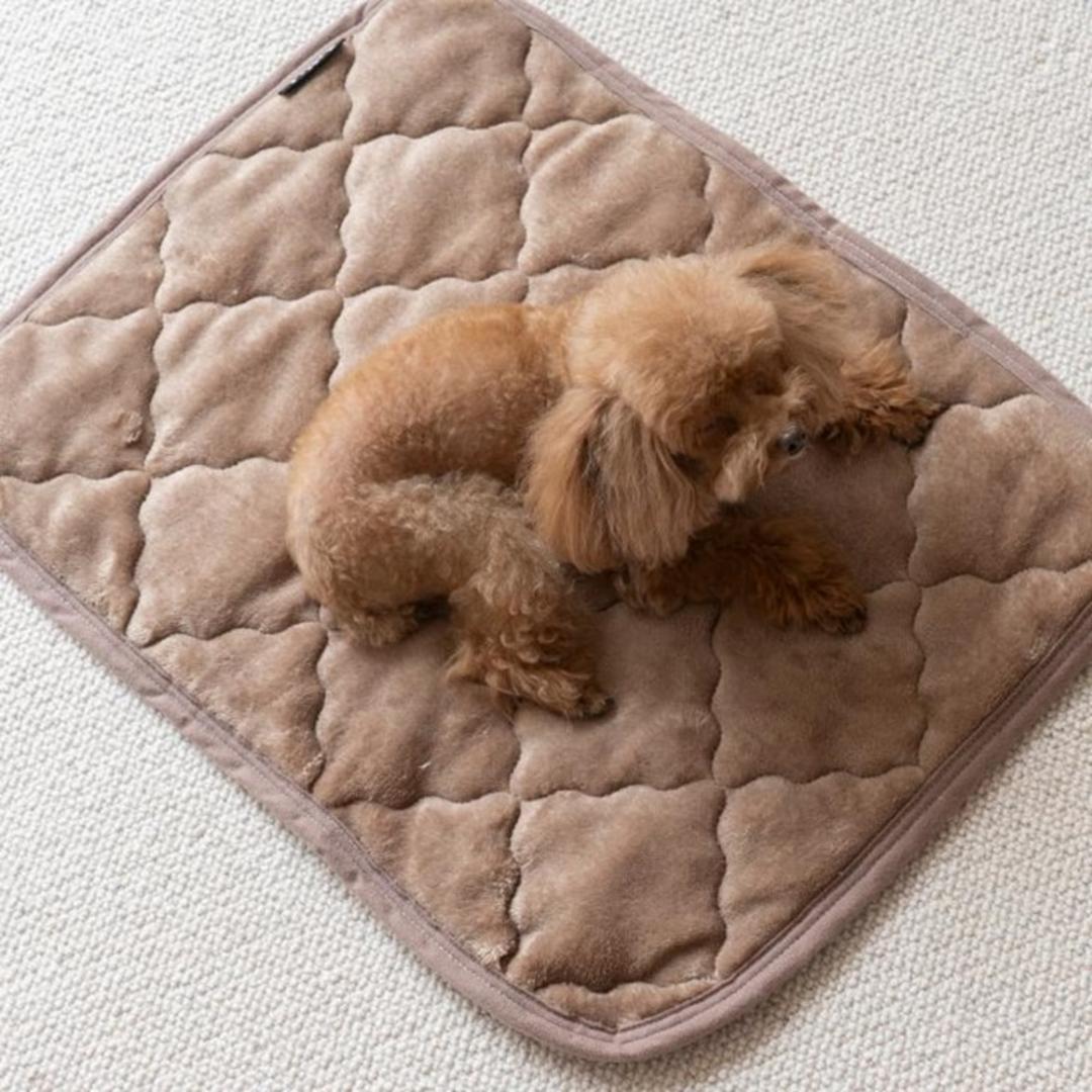ペット用 パッド LL 通販 犬用マット ペット用マット ペットマット ペットパッド ペット用パッド 敷きパッド マット フランネル 寒さ対策 防寒対策 ペット 犬 いぬ 滑り止め すべり止め 洗える やわらか 柔らかい やわらかい 冬グッズ 猫 ねこ ネコ BR ・