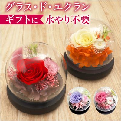 ブリザードフラワ- 通販 フラワーギフト ガラス製 フラワーアレンジメント ガラスドーム お花 花 かわいい おしゃれ フラワー 結婚祝い 新築祝い 玄関 リビング 引越し祝い インテリア 退職 退職祝い アムール・デ・フルール ギフト 贈り物 引っ越し祝い