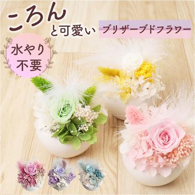 ブリザードフラワ- 通販 フラワーアレンジメント フラワーギフト お花 花 かわいい おしゃれ 結婚祝い 新築祝い 玄関 リビング 洗面所 トイレ フラワー 引越し祝い 退職 退職祝い インテリア アムール・デ・フルール 引っ越し祝い ギフト 贈り物