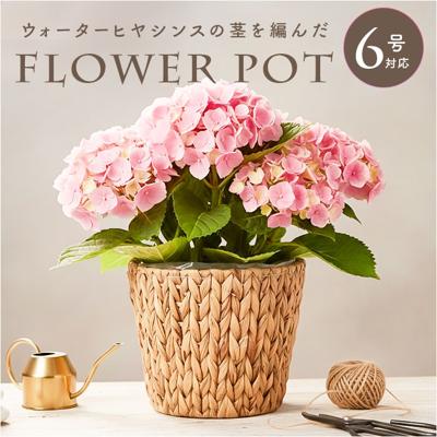 鉢カバー 6号 通販 アミアミポット6号 植木鉢カバー プランターカバー 6号鉢 花 ホワイエ 植木鉢 鉢 プランター カゴ ポット フラワーアレンジメント 鉢植え 室内 園芸 観葉植物 多肉植物 グリーン ナチュラル インテリア おしゃれ