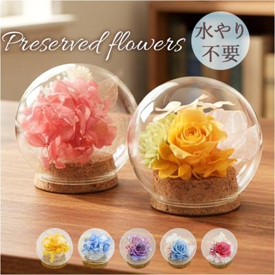 プリザーブドフラワー ガラスドーム 通販 ブリザーブドフラワー フラワーギフト 花 ブリザードフラワー おしゃれ かわいい 贈り物 ギフト 結婚祝い 誕生日 結婚記念日 お祝い 還暦祝い 退職祝い 結婚式 女性 妻 還暦 米寿 古希 お供え 両親