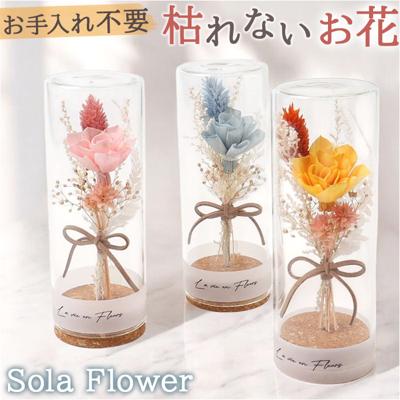 ソラフラワー ガラスボトル 通販 コルクブーケ フラワー 花 はな ドームフラワー ディスプレイ ブーケ 飾り 置き物 置物 母の日 ナチュラル ギフト 贈り物 ギフト かわいい 可愛い 小さめ お祝い おしゃれ オシャレ インテリア