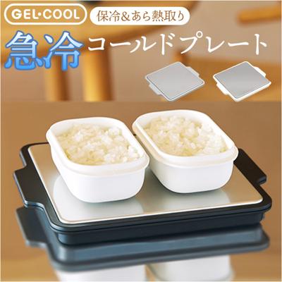 GEL-COOL ジェルクール プレート 保冷 通販 あら熱取り ステンレスプレート あら熱取りプレート 保冷プレート ステンレス のせるだけ 小さめ ミニ 2way お弁当作り あら熱 粗熱 時短 料理 キッチン キッチン用品 お刺身 そうめん