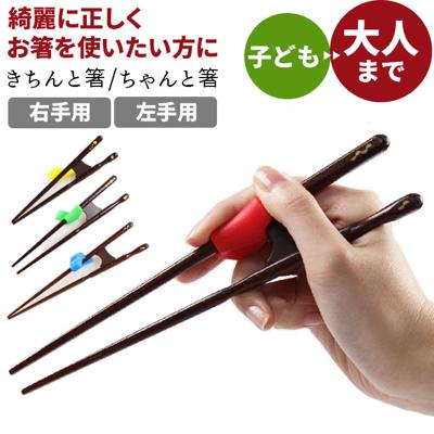 【楽天ランキング2位獲得! さらに2点以上&計3000円以上で5％OFFｸｰﾎﾟﾝ付】イシダ 矯正箸 通販 大人用 矯正 箸 大人 しつけ箸 日本製 小学生 子供 右利き用 左利き用 ちゃんと箸 こども用 約 16cm 18cm きちんと箸 おとな用 21cm 23cm 若狭箸 はし ハシ トレーニング箸