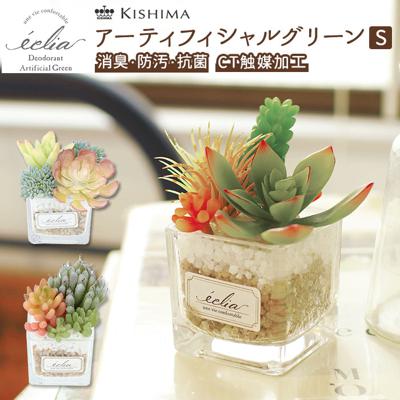 多肉植物 観葉植物 フェイク s 通販 おしゃれ 小さい CT触媒 消臭アーティフィシャルグリーン ECLIA エクリア インテリアグリーン 寄せ植え ポット フェイクグリーン インテリア 人工植物 枯れない コンパクト キャ