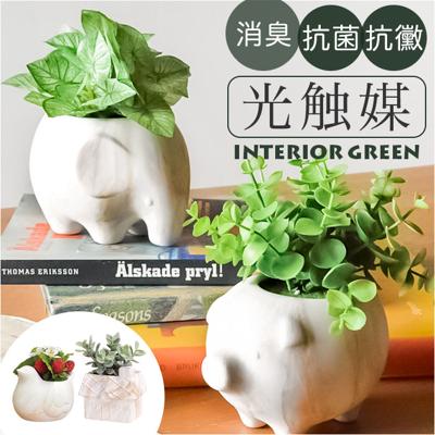光触媒 マーブルポット 通販 ボウルポット フェイクグリーン ポット プランター 植木鉢 装飾 観葉植物 植物 飾る 飾り インテリアグリーン 消臭 光触媒加工 抗菌 防カビ ナチュラル 癒し 室内 フロア かわいい 可愛い おしゃれ オシャレ インテリア雑貨