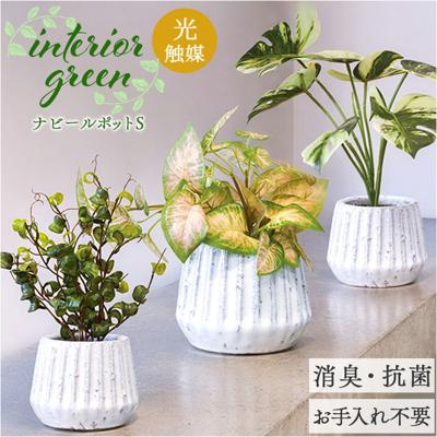 光触媒 フェイクグリーン 通販 人工観葉植物 イミテーショングリーン インテリアグリーン 消臭 抗菌 防カビ おしゃれ ポット 陶器 植物 飾る インテリアプランツ 置物 イミテーション 癒し 癒やし リビング 和室 寝室 贈り物 ギフト 新生活