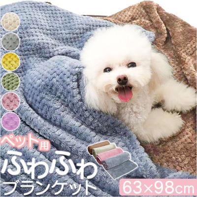 ペット ブランケット 通販 ペット毛布 毛布 犬毛布 猫毛布 暖かい ペットマット 無地 シンプル ペットブランケット 70×100cm ひざ掛け あったか 防寒 おしゃれ オシャレ 犬 猫 犬猫兼用 ペット用品 寒さ対策 お昼寝 寝具