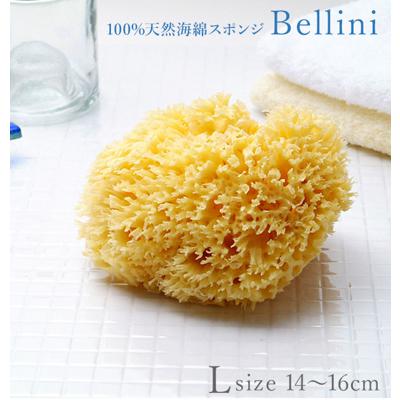 ボディスポンジ Bellini ベリーニ 通販 天然海綿スポンジ 天然海綿 ハニコム種 SA16 Lサイズ 約14~16cm お風呂 洗顔 海綿スポンジ 天然スポンジ ベビー 赤ちゃん 柔らか やわらか ふわふわ ソフト 敏感肌 乾燥肌 肌トラブル 肌荒れ ボディタオル 弾力 泡立ち