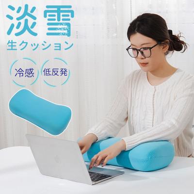 クッション 低反発 通販 低反発接触冷感クッション 低反発クッション マルチクッション 楕円 ひんやり 冷感 腰当て 肘置き 枕 まくら おしゃれ かわいい 快適 PCクッション ソファー 椅子 いす インテリア 雑貨 ギフト プレゼント 淡雪生クッション
