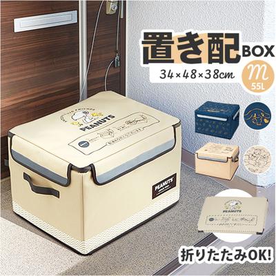 宅配ボックス 折りたたみ 通販 Mサイズ W480×D380×H340mm 宅配便ボックス 置き配ボックス 不在 留守 置き配 宅急便ボックス 宅配便 宅急便 配達 受け取り 便利 コンパクト 収納 かわいい おしゃれ キャラクター スケーター skater