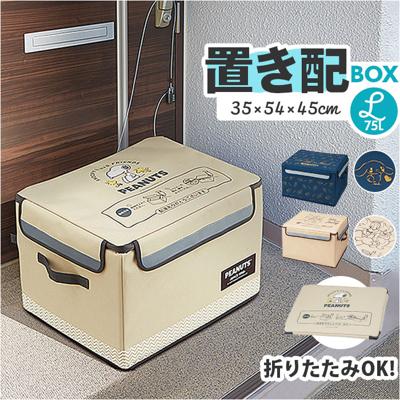 宅配ボックス 折りたたみ 通販 Lサイズ W540×D450×H350mm 置き配ボックス 宅配便ボックス 置き配 宅急便ボックス 不在 留守 宅配便 宅急便 配達 受け取り 便利 コンパクト 収納 おしゃれ かわいい スケーター skater キャラクター