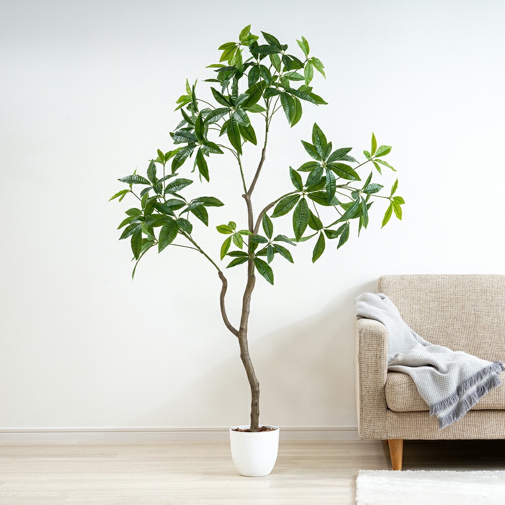 光媒体インテリアグリーン パキラ 人工観葉植物 枯れない 水やり不要