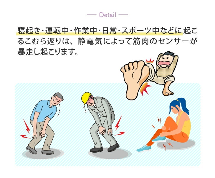 脚ツランベルトメッシュ2本組 足首サポーター ふくらはぎ サポーター