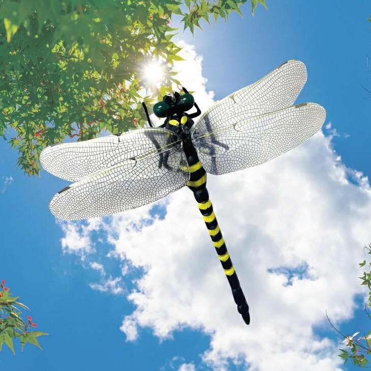 ビッグヤンマくん2個組