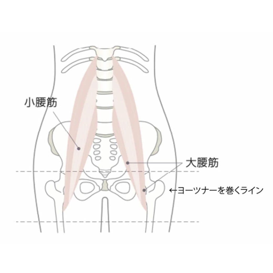 大腰筋ストレッチサポーター「ヨーツナー」2枚組 サポーター 腰 太もも 大腰筋 腰サポーター M