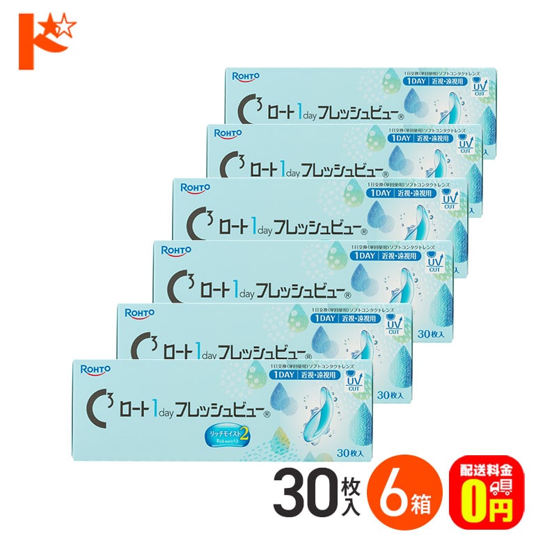 ロート 1day フレッシュビュー リッチモイスト2 《30枚入》 6箱セット  1日使い捨てコンタクトレンズ 高含水 クリアコンタクトレンズ UVプロテクト機能 紫外線 うるおい ROHTO ロート製薬【送料無料】