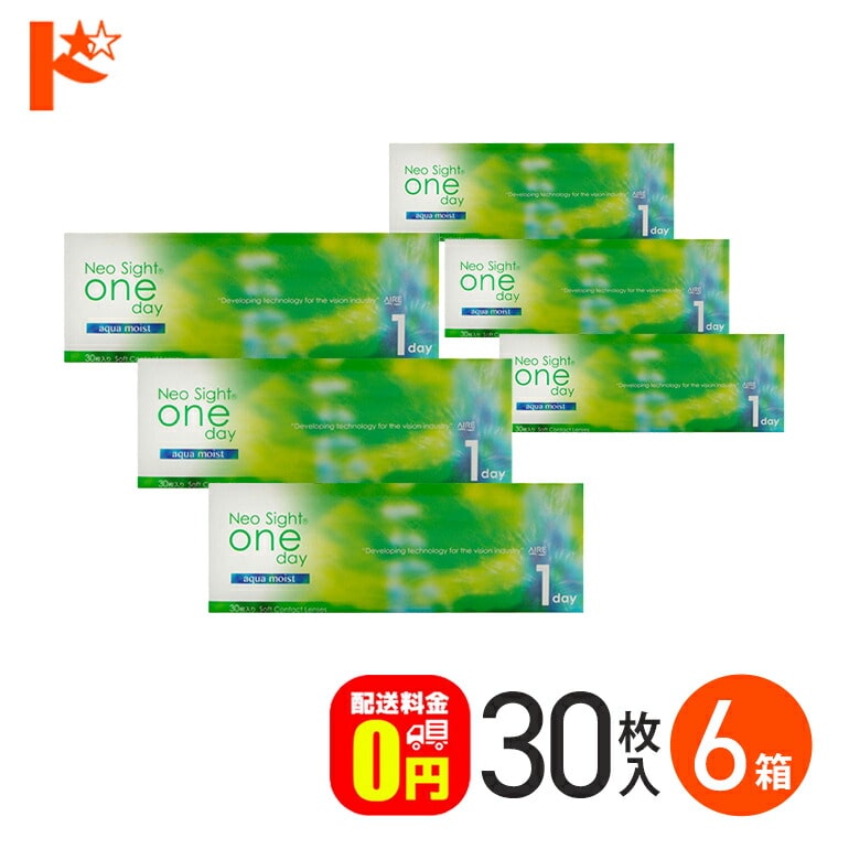 ネオサイトワンデーアクアモイスト 30枚入 6箱セット  1日使い捨て コンタクト1day 【送料無料】