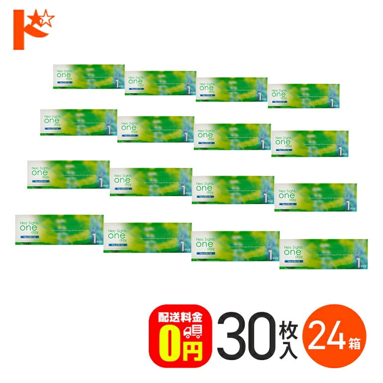 ネオサイトワンデーアクアモイスト 30枚入 24箱セット  1日使い捨て コンタクト1day 【送料無料】