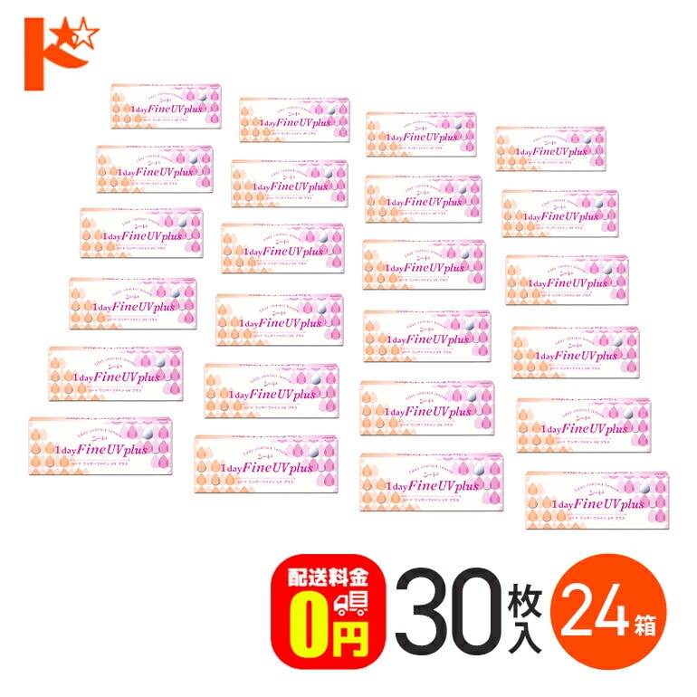 ワンデーファインUVプラス 30枚入 24箱セット 1日使い捨て 1day  【送料無料】