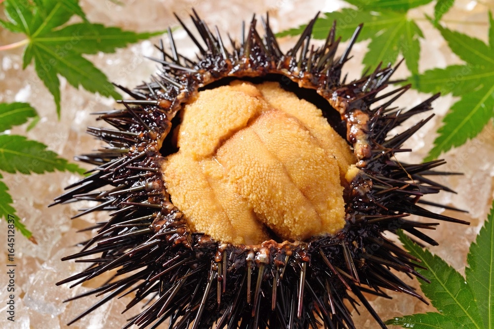 塩ウニ（60ｇ）