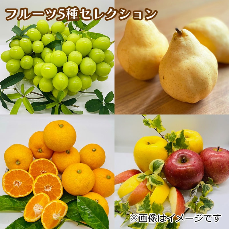【ｍｙｇｉｆｔ】フルーツ5種セレクション 送料込み