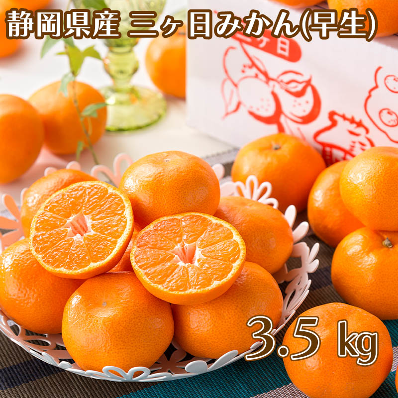 三ケ日みかん（早生） 3．5ｋｇ 送料込み