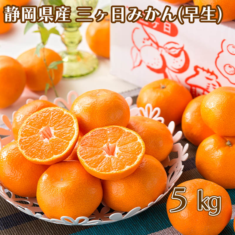 三ケ日みかん（早生） 5ｋｇ 送料込み