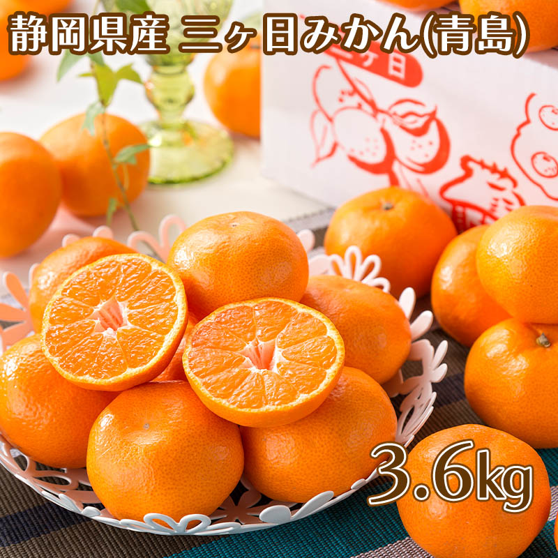 三ケ日みかん(青島) 3.6kg 送料込み
