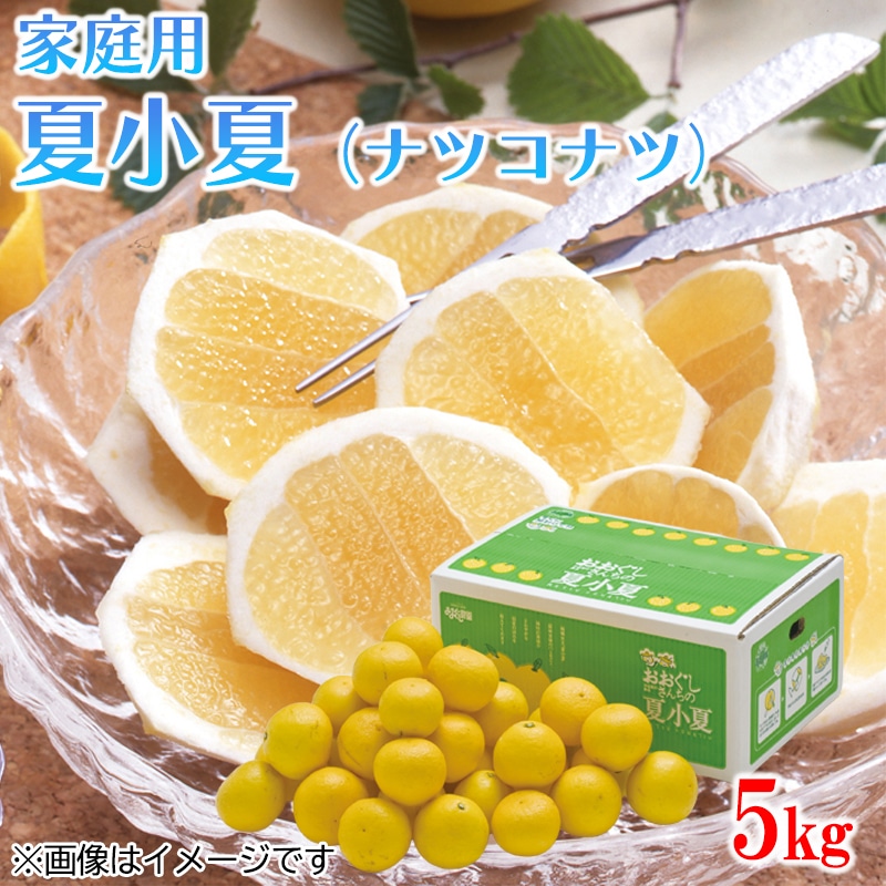 家庭用 夏小夏（ナツコナツ）5ｋｇ 送料込み