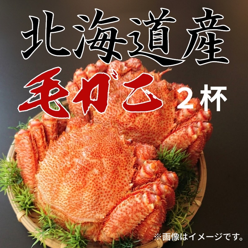 北海道産毛ガニ700ｇ（2杯） 送料込み