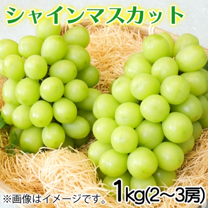 シャインマスカット 1kg 送料込み