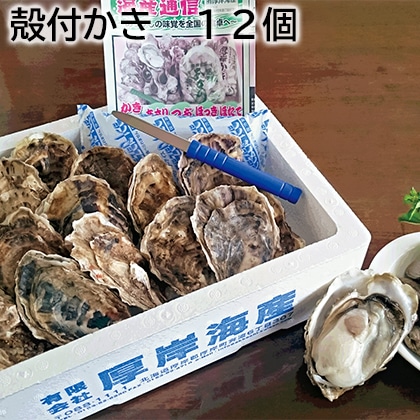 殻付かき 12個 送料込み